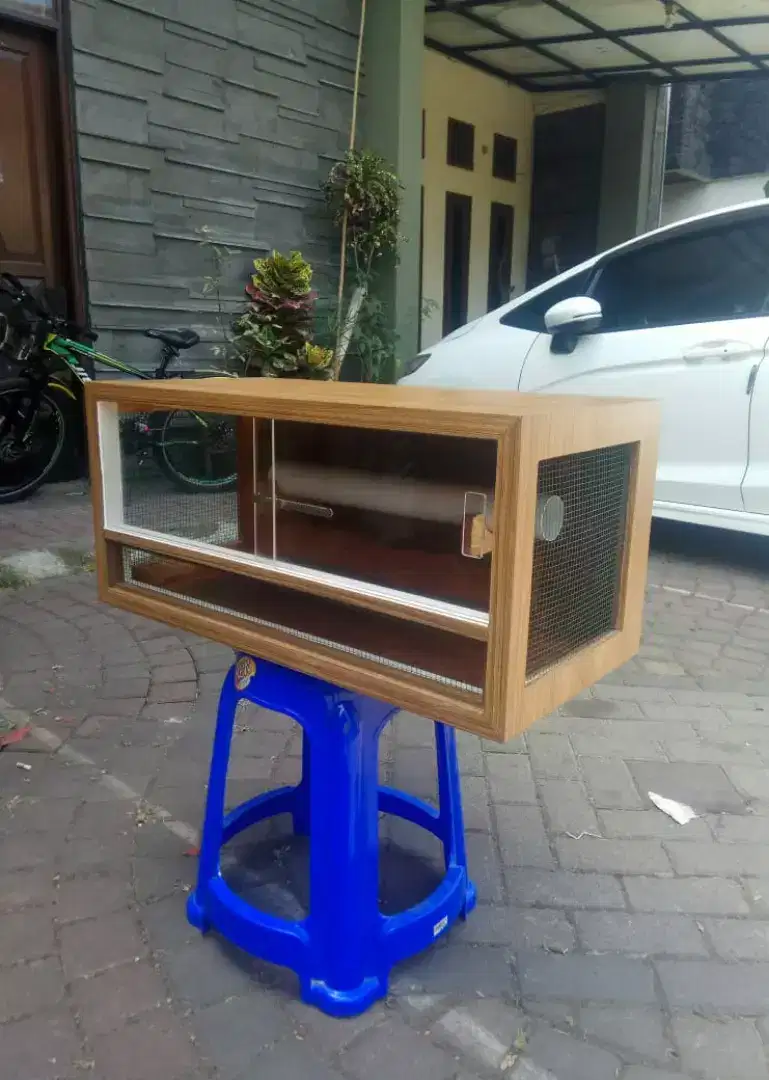 Kandang Tokek dan Gecko