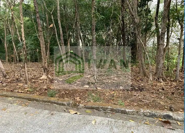 Tanah Kering/Pekarangan Hadap Jalan Cor Belakang Dapat View Sawah