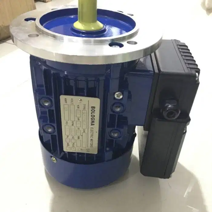 ex display dinamo listrik 1Phase 1Hp Flange BOLOGNA