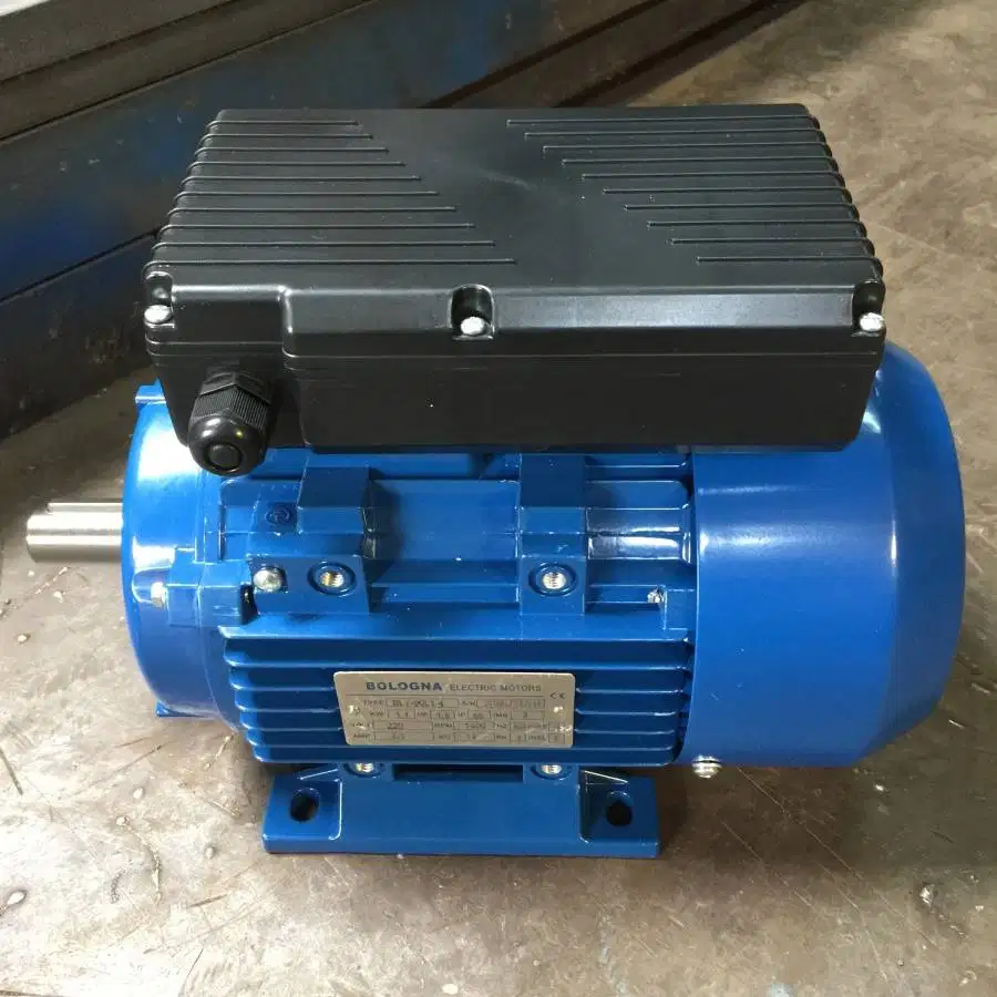 ex display dinamo listrik 1Phase 3Hp Foot Mounted 2900 rpm BOLOGNA