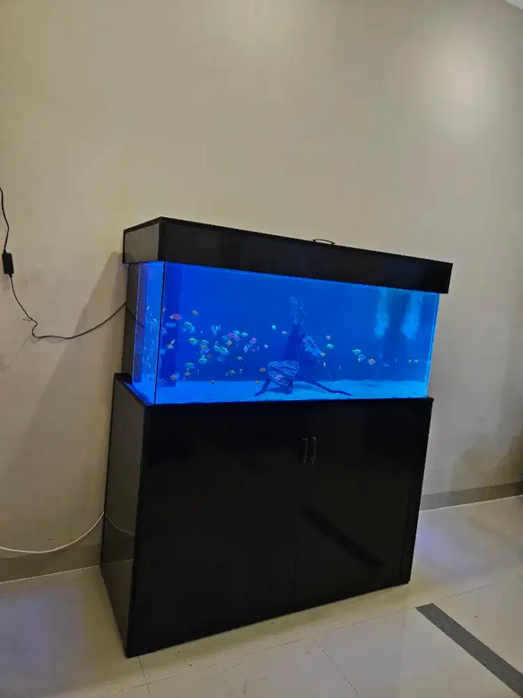 Pembuatan aquarium makassar