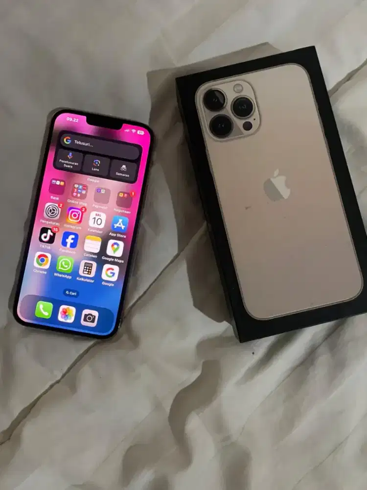 Iphone 13 pro max inter 256 GB