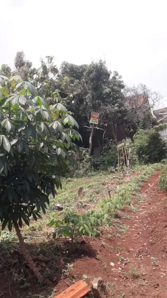 JUAL CEPAT (BU) TANAH DI MULAWARMAN SEMARANG