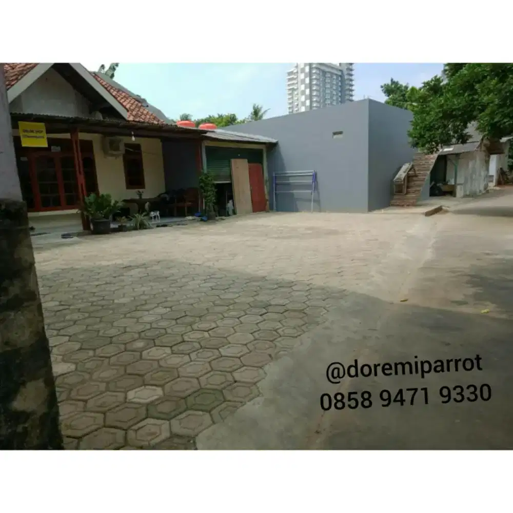 Kontrakan 1 Kamar 1 ruang tamu, kmr mandi + dapur (Kamar Bisa dikunci)