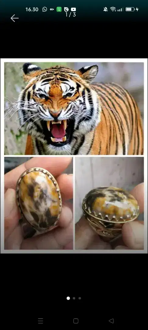 Batu motif loreng macan