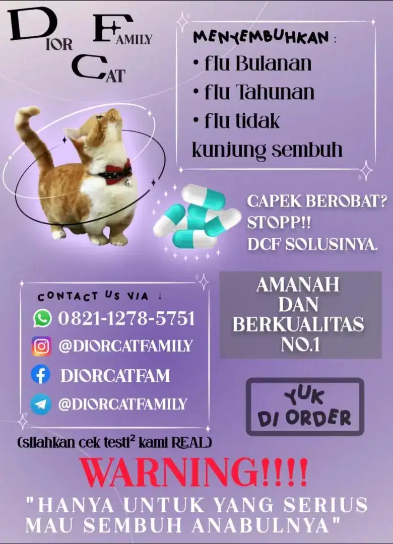 Obat Flu Kucing Racikan Dokter Ampuh