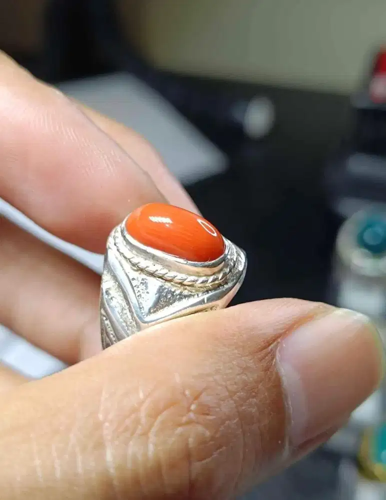 Red marjan laut merah