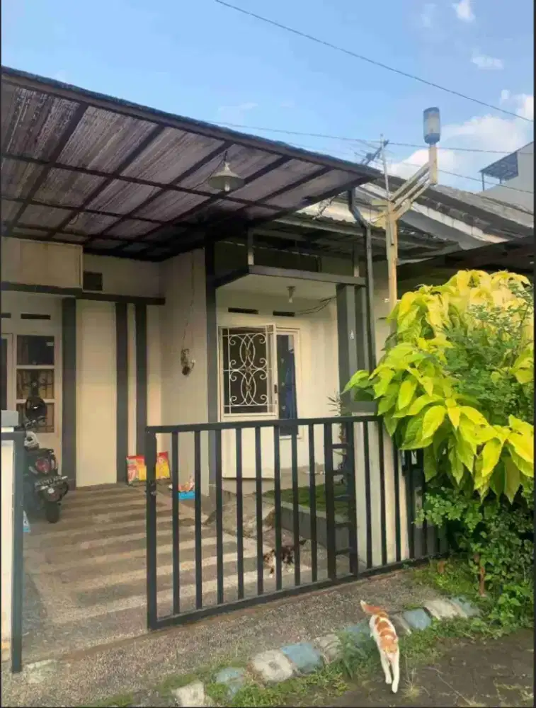 Rumah Dijual Area Jl Sunan Muria Belakang Kampus UIN Malang