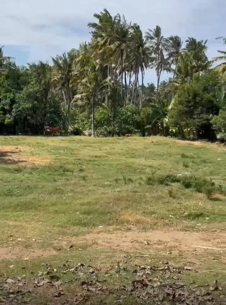 TANAH STRATEGIS DEKAT LAUT SIAP BANGUN VILLA