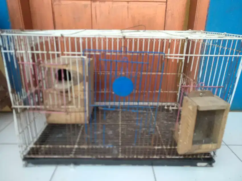 Kandang besi kotak ukuran P60L45T40 lengkap buat ternak Lovebird