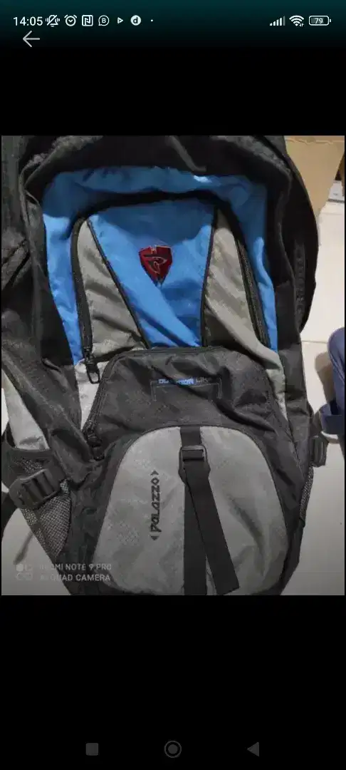 Tas gunung palazo