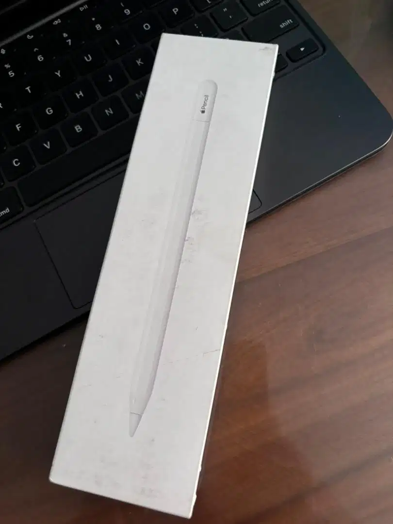 Apple Pencil A3085 USB-C