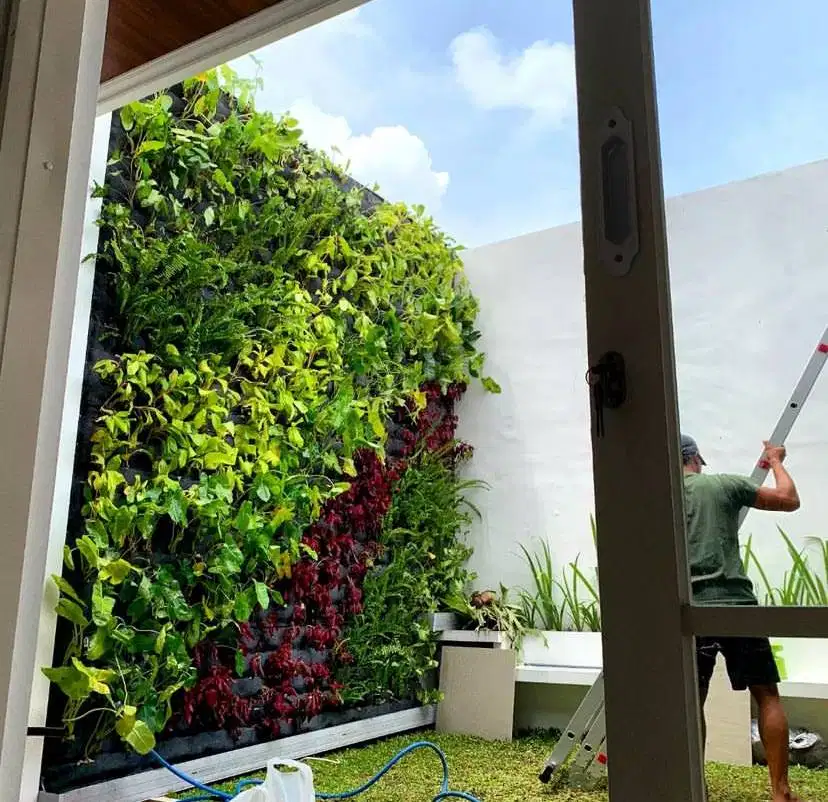 Vertical garden sidoarjo