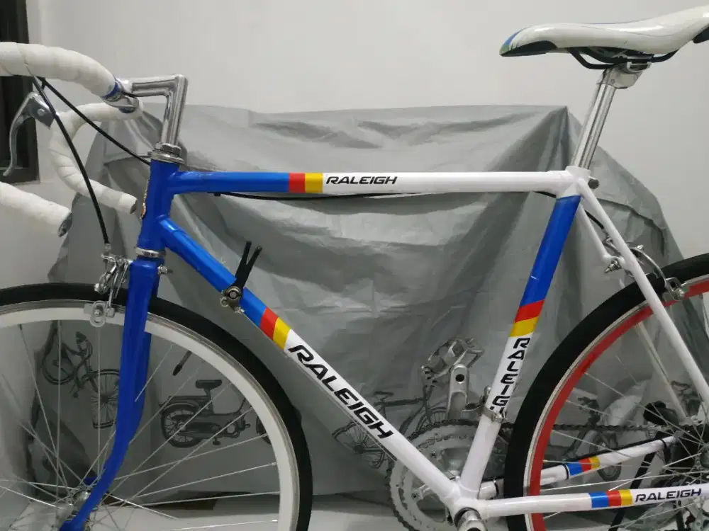 Sepeda Roadbike vintage Raleigh Team Panasonic custom