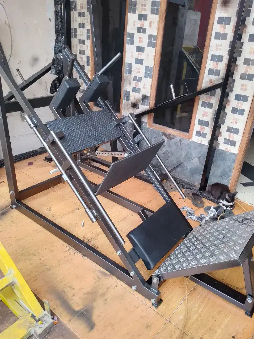 leg press and squat 45