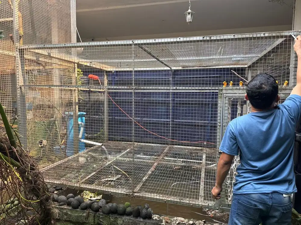 Sangkar burung besar semi  aviari