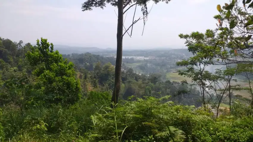 Tanah darat sangat strategis view lepas untuk villa+kebun investasi