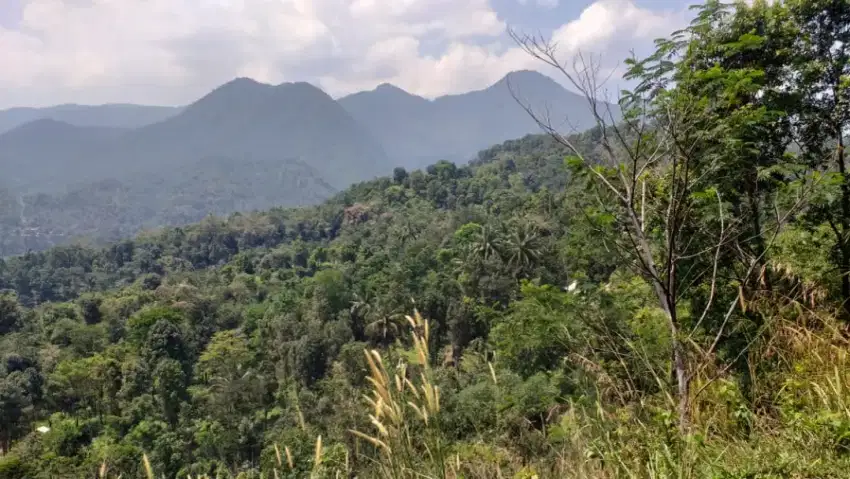 Tanah murah untuk wisata+glamping+villa sangat strategis full view