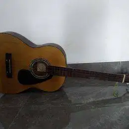 Gitar Akustik Shen-Shen FG 80