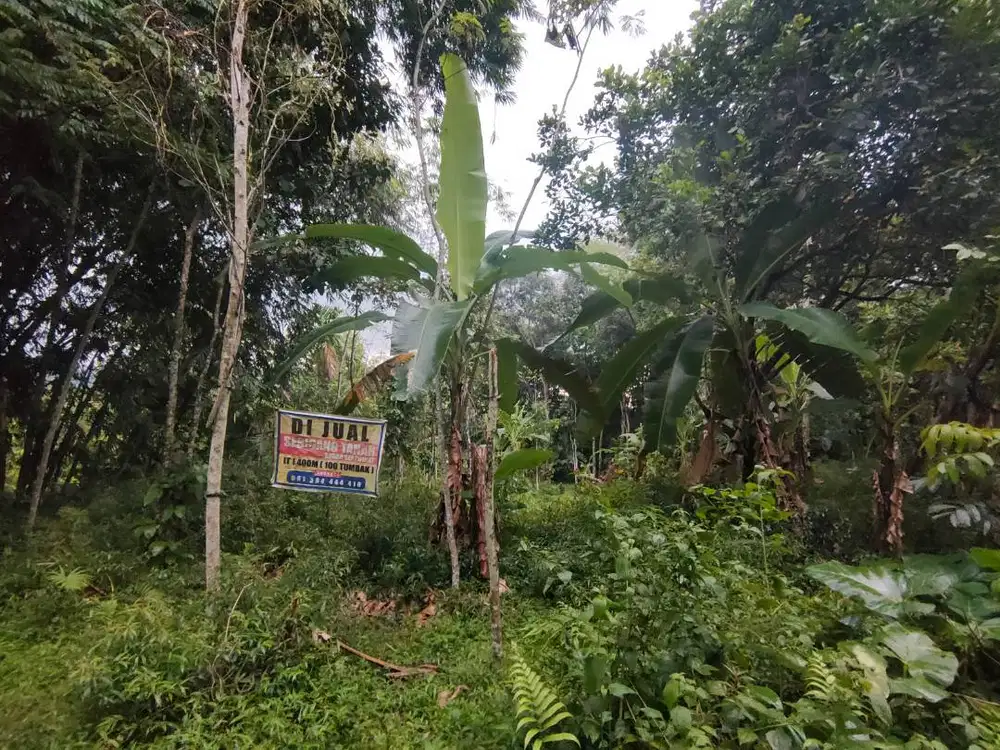 jual cepat tanah/kebun pinggir jln desa