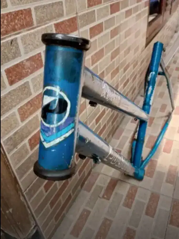 Frame polygon lady virginia