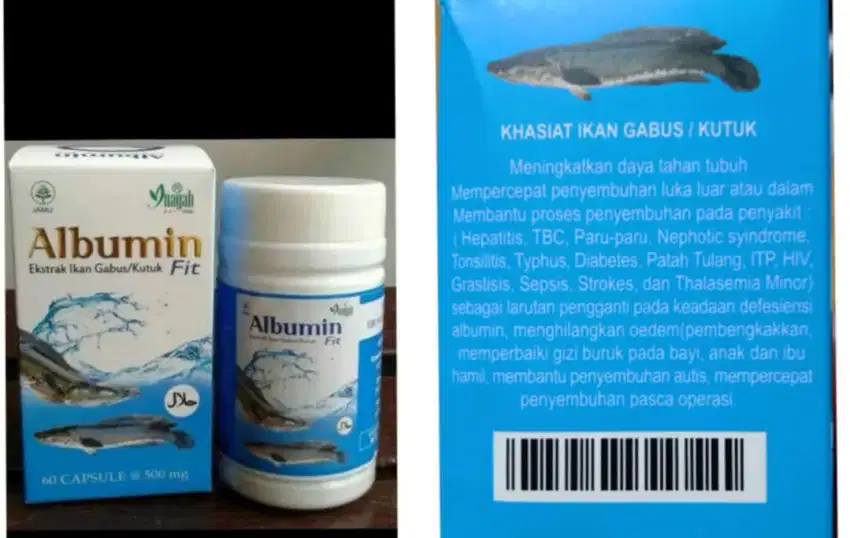 Kapsul Albumin (ikan gabus)