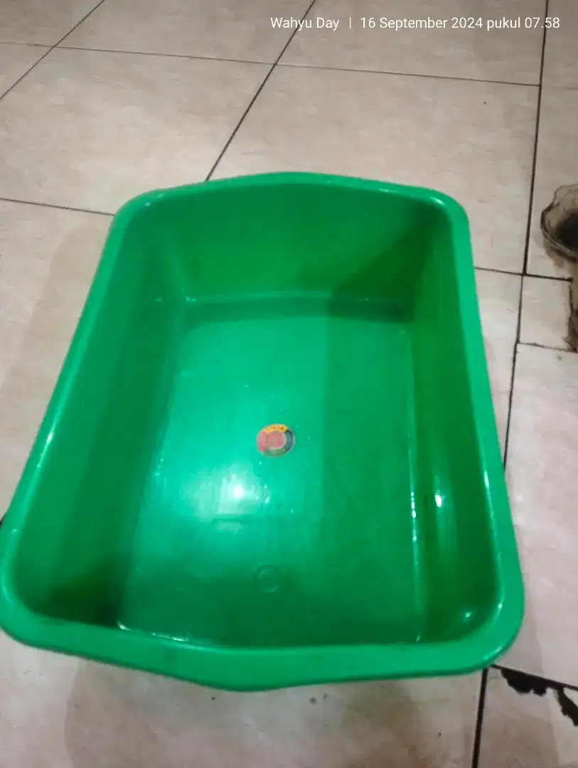 Tempat Pasir Untuk BAB kucing Ukuran 40x30cm sedang untuk dewasa