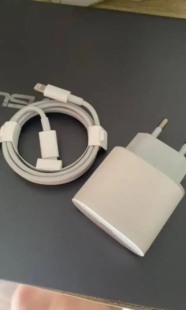 Charger iPhone 25 Watt original