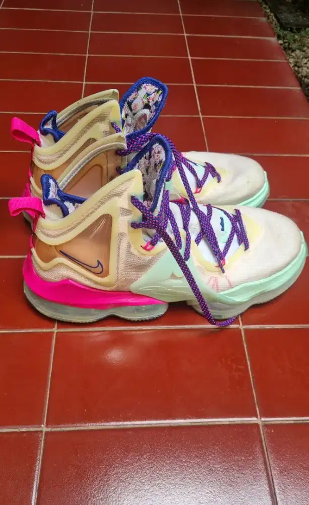 Basket shoes Original Nike Lebron XIX multi colour (Valentine)