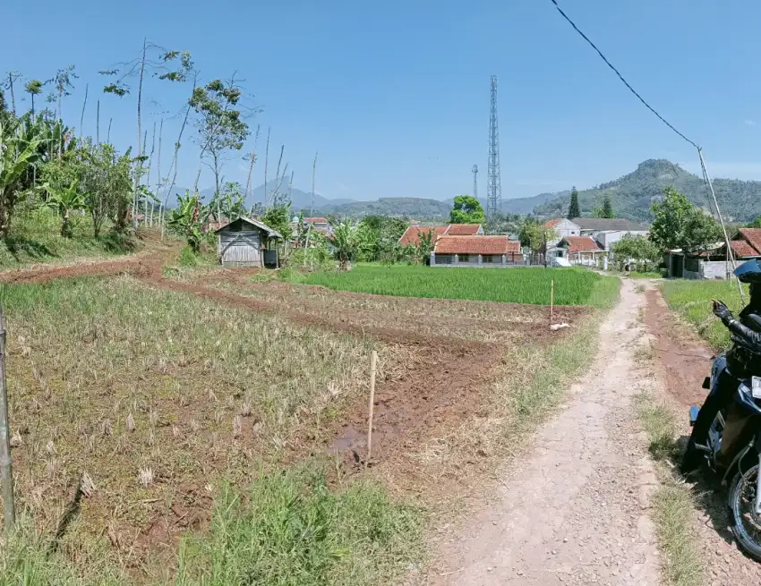 Dijual sawah produktif pinggir jalan view mantap