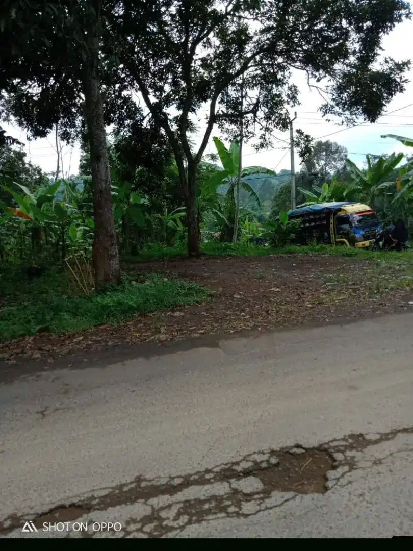 DiJual Tanah Pinggir jalan Raya Palasari KelapaNunggal Sukabumi