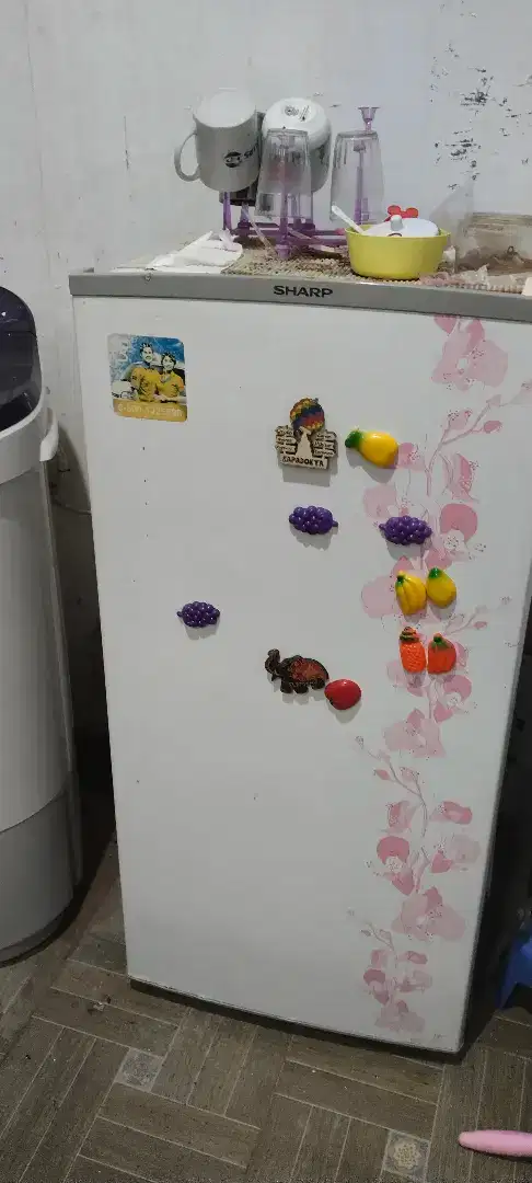 Kulkas sharp 1 pintu