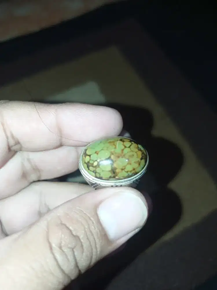 Pirus hubei ceplok kuro