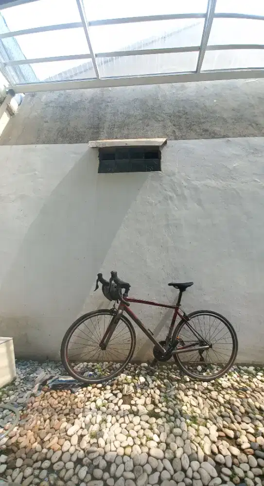 Polygon Stratos S5 2022