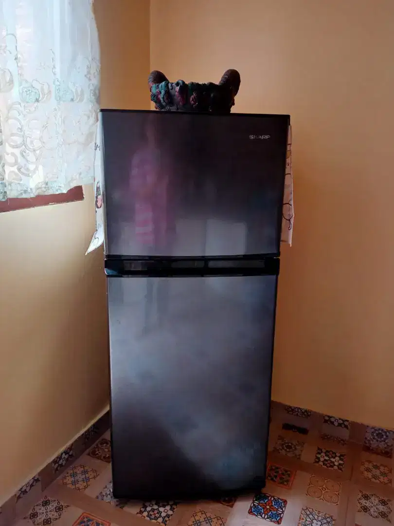 Kulkas 2 pintu Sharp like new