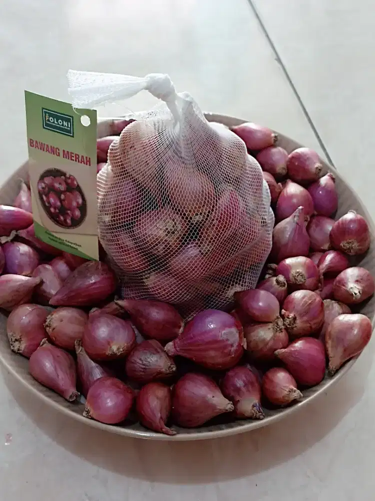 BAWANG MERAH SUPER (Minimal Order 20Kg)
