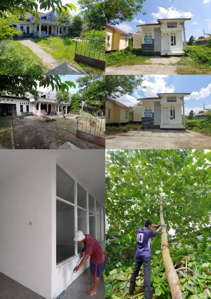 Jasa Bersih2,Tebas Rumput,dan Tebang Pohon