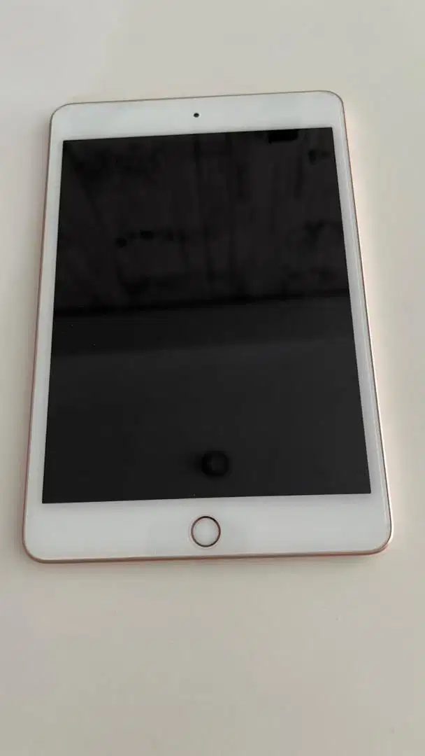 Ipad mini 5 256gb wifi