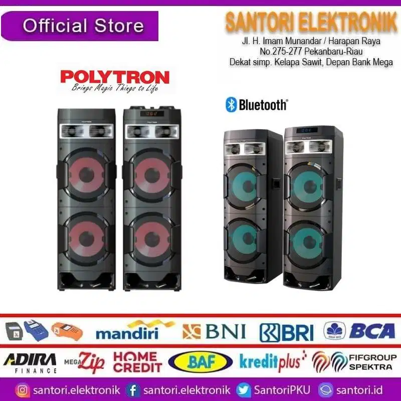 speaker polytron