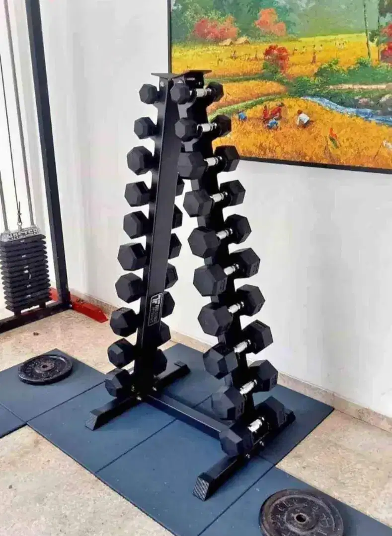 ALAT FITNESS DUMBELL BARBELL SET RACK HEXAGONAL TOTAL GYM