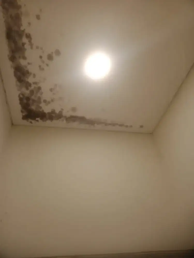 Tukang spesialis bocoran talang atap