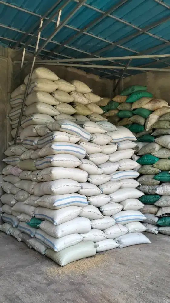 Sekam murni karung besar.