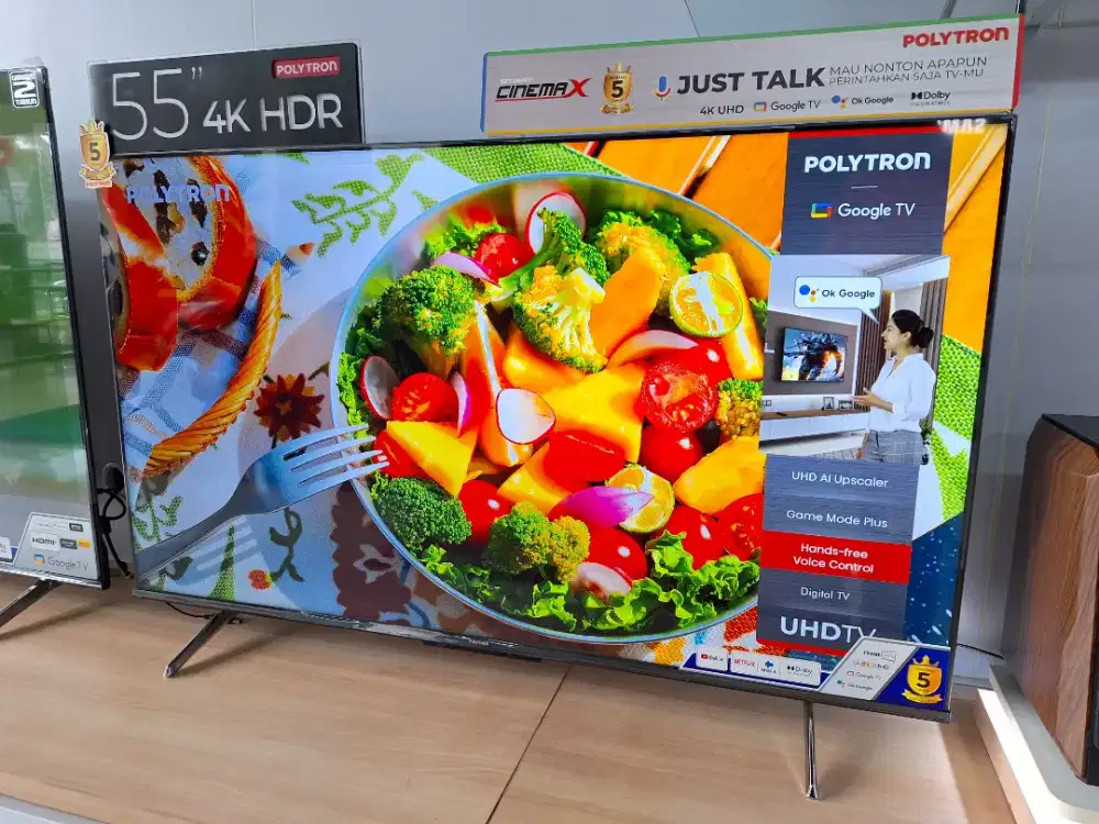 TV POLYTRON 55 INCH PLD 55UG5059, Google TV 4K UHD