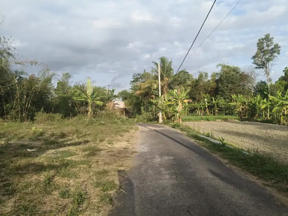 Disewakan tanah murah cocok untuk bengkel dan usaha  di ngemplak