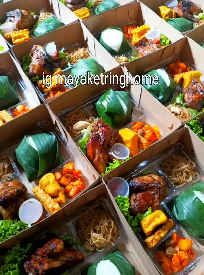 Nasi kotak di bandar Lampung ekonomis praktis rasa nikmat dan halal