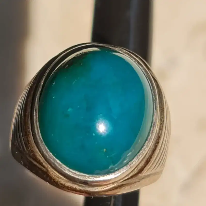 NEGO Bacan Doko Bluish Ukuran Besar Sedang Cakep Murah