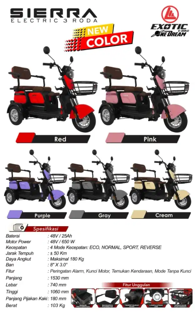 Sierra Electric 3Roda by Exotic