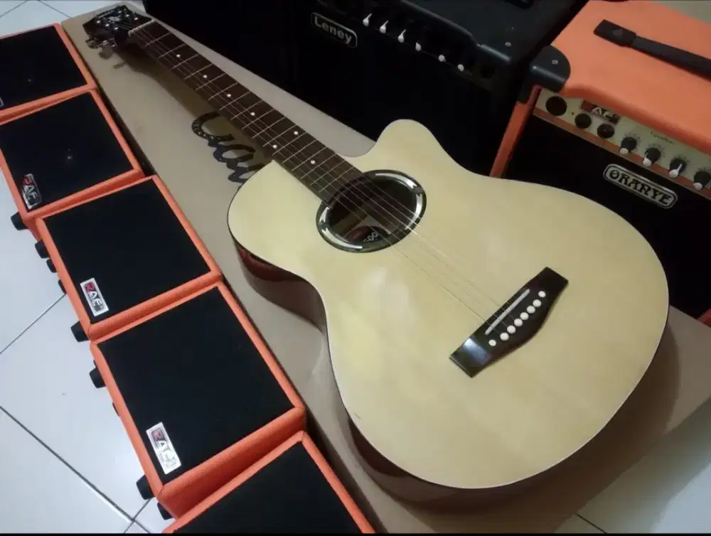 Gitar akustik apx tanambesi