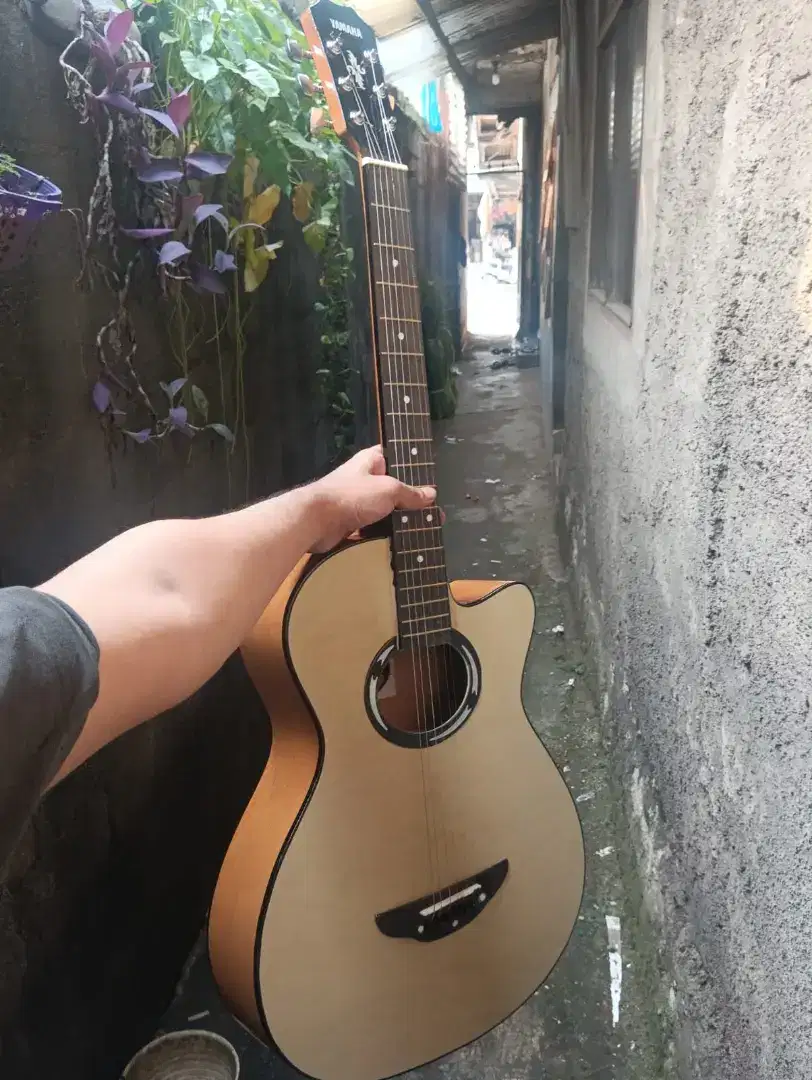 Gitar akustik apx tanambesi