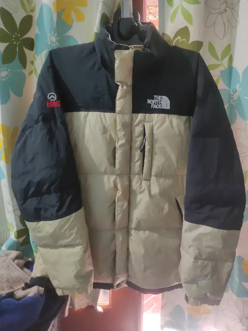 Jaket Bulang Tnf